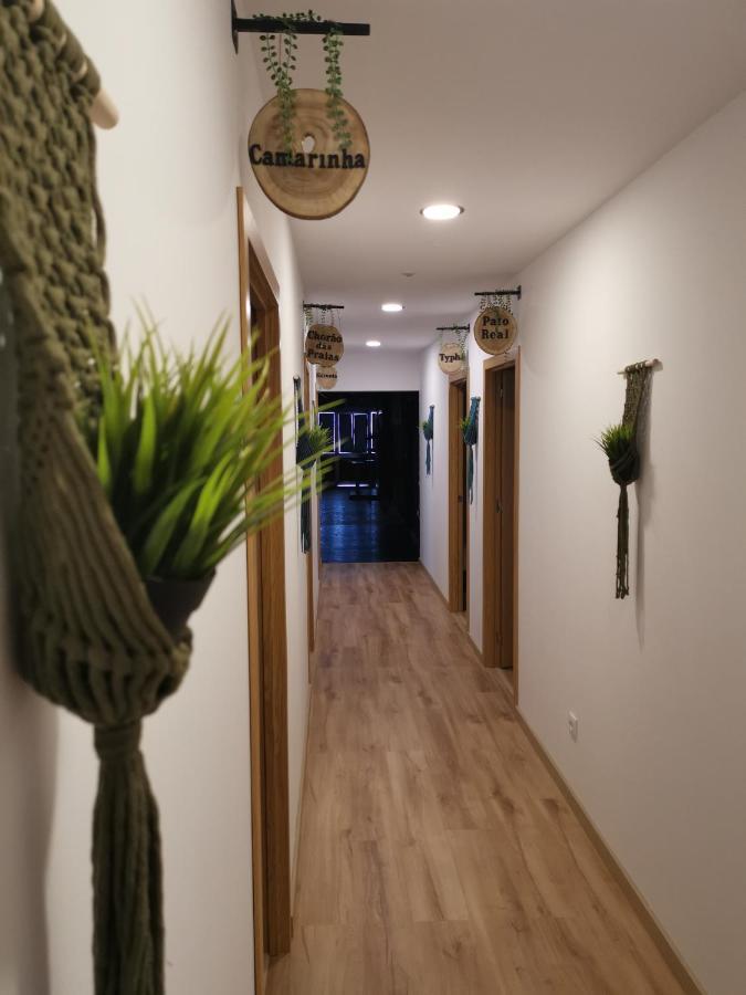 Atlantic Nature Beach House Poco da Cruz エクステリア 写真
